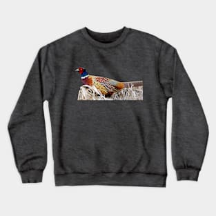 Ring-necked Pheasant Photo Crewneck Sweatshirt